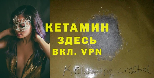 стаф Горняк