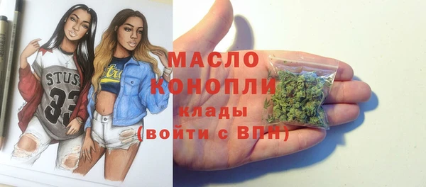 индика Горно-Алтайск