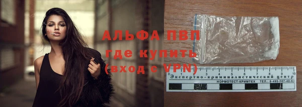 стаф Горняк