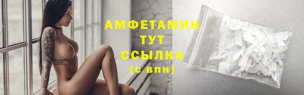 стаф Горняк