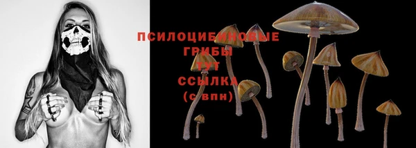 мескалин Горнозаводск