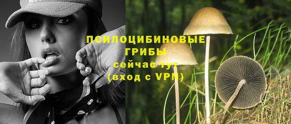 стаф Горняк