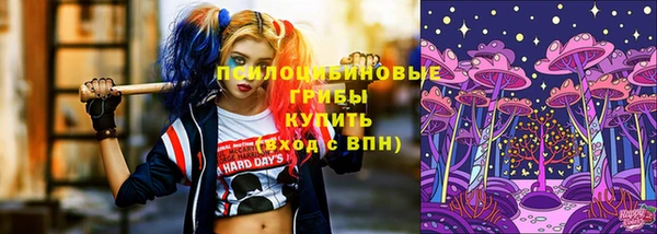 стаф Горняк