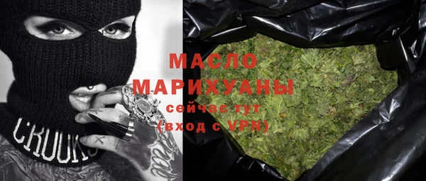 индика Горно-Алтайск