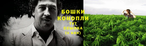индика Горно-Алтайск
