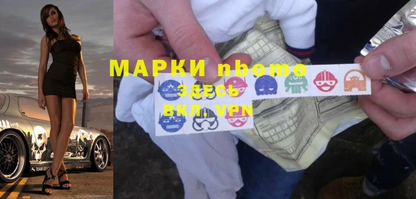 индика Горно-Алтайск