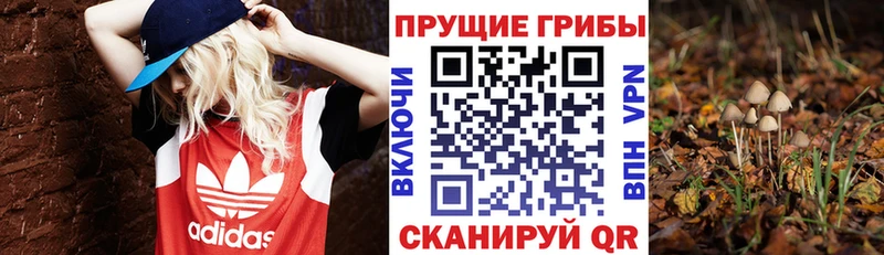 Галлюциногенные грибы прущие грибы  Купить закладки  Оса 